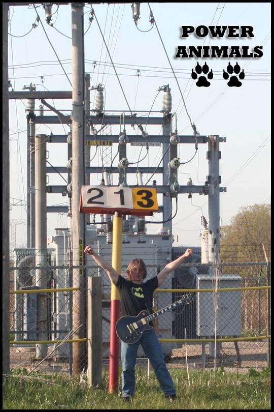 Power Animals_Andy Szaf_Electric Outdoor